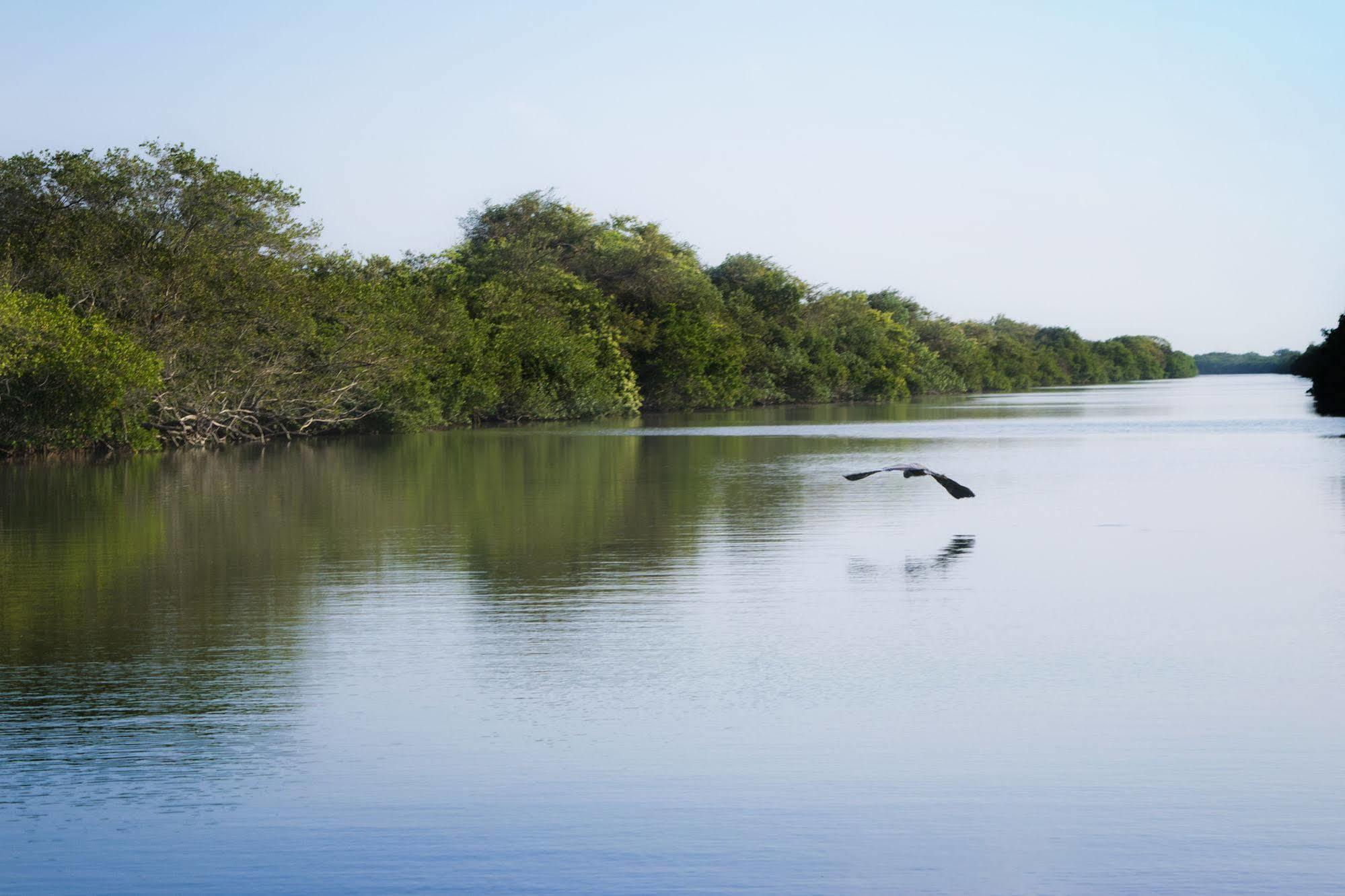 Isla Tajin Hotel Tuxpan  Luaran gambar